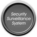 Security Surveillance System